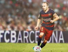 拜仁引发争议！，塔图姆官方宣布重返赛场新规全场沸腾不已